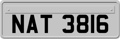 NAT3816