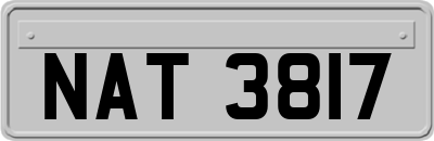 NAT3817