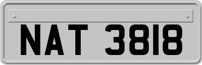 NAT3818