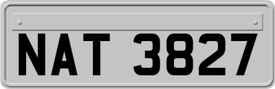 NAT3827