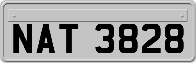 NAT3828