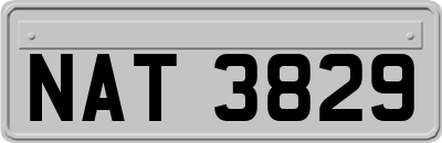 NAT3829