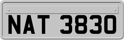 NAT3830