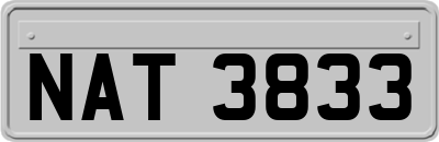 NAT3833