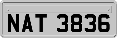 NAT3836