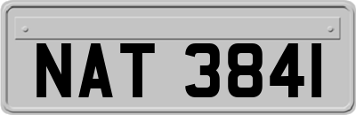 NAT3841