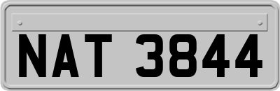 NAT3844