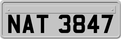 NAT3847