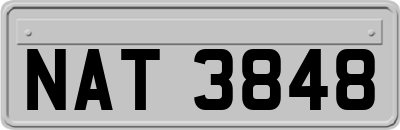 NAT3848