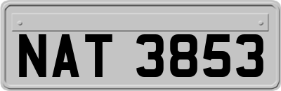 NAT3853