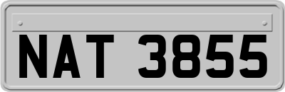 NAT3855