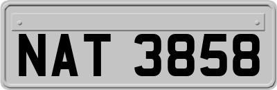 NAT3858