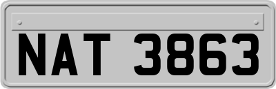 NAT3863