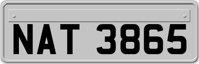 NAT3865