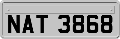 NAT3868