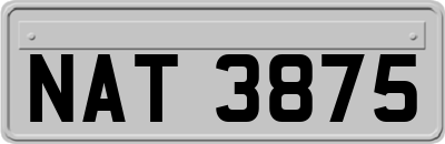 NAT3875