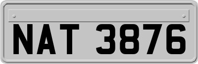 NAT3876