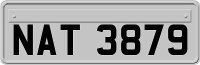 NAT3879