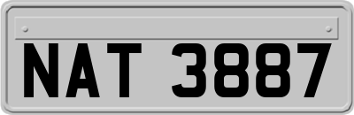 NAT3887