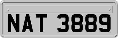 NAT3889