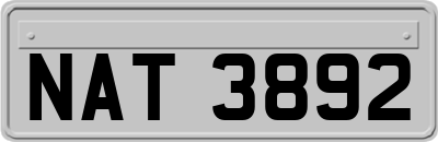 NAT3892