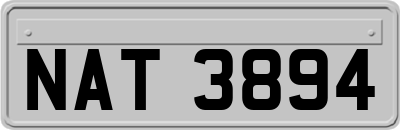 NAT3894