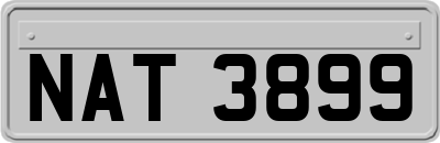 NAT3899