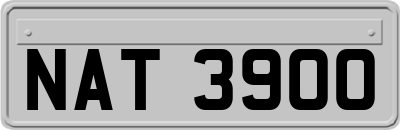 NAT3900