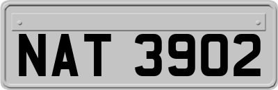 NAT3902