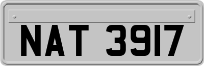 NAT3917