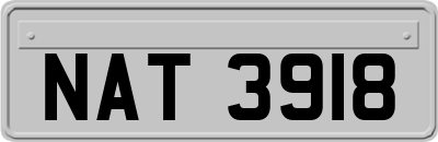 NAT3918