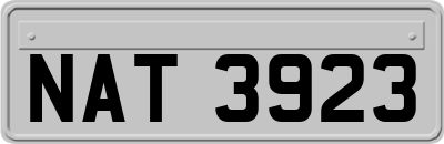 NAT3923