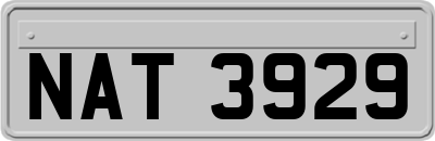 NAT3929