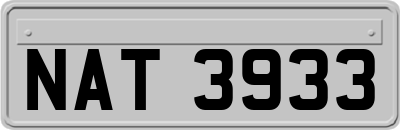 NAT3933