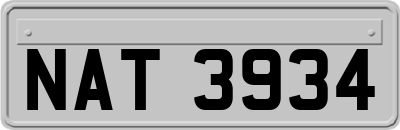 NAT3934