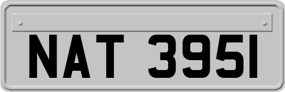 NAT3951