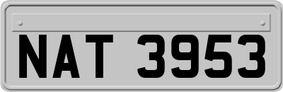 NAT3953