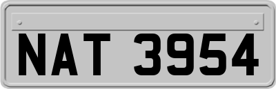 NAT3954