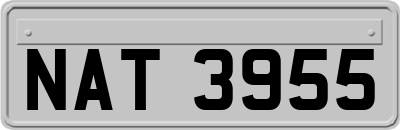 NAT3955