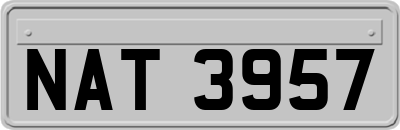 NAT3957