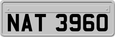 NAT3960