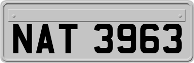 NAT3963