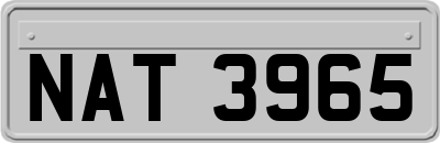 NAT3965