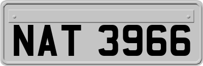 NAT3966