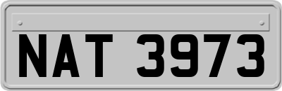 NAT3973