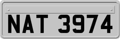 NAT3974