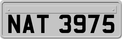 NAT3975