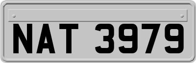 NAT3979