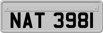 NAT3981