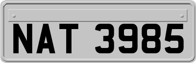 NAT3985